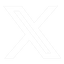 x logo